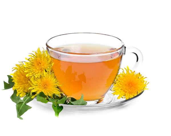 Многие люди научились заменять одуванчиками кофе