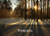 Лунный календарь посадки растений в 2018 году