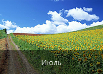 Лунный календарь посадки растений в 2018 году