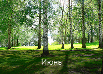 Лунный календарь посадки растений в 2018 году