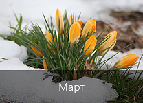 Лунный календарь посадки растений в 2018 году