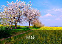 Лунный календарь посадки растений в 2018 году