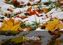 Лунный календарь посадки растений в 2018 году