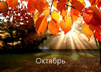 Лунный календарь посадки растений в 2018 году