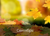 Лунный календарь посадки растений в 2018 году