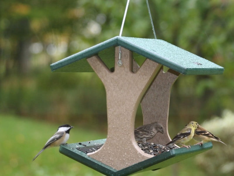 Лучшие идеи по самостоятельному изготовлению кормушек для птиц