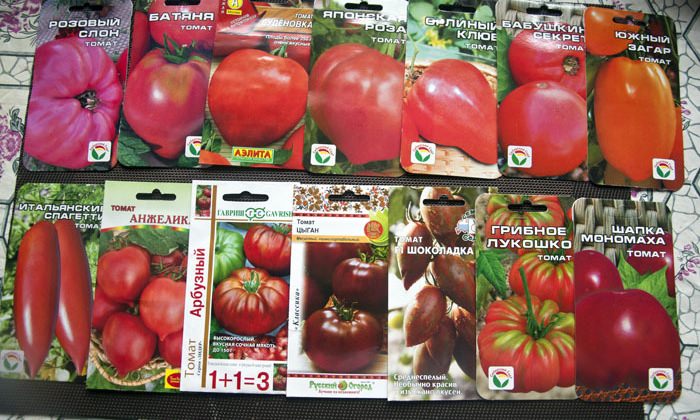 Технология посадки помидоров в открытый грунт и уход за ними