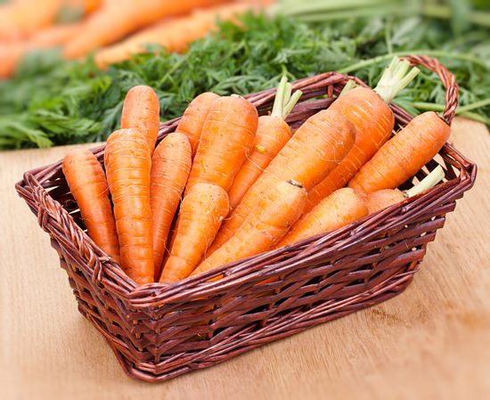 Все о выращивании моркови: от выбора сорта для посадки до правил хранения урожая