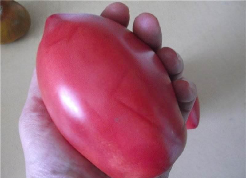 Характеристика и описание сорта томатов Розовый фламинго