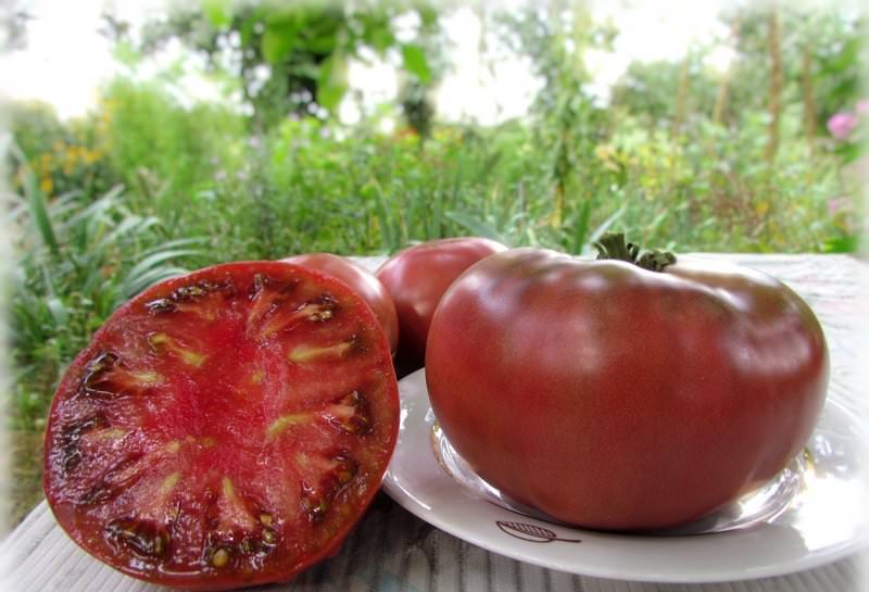 Необычный томат Шоколадный: описание сорта, нюансы выращивания