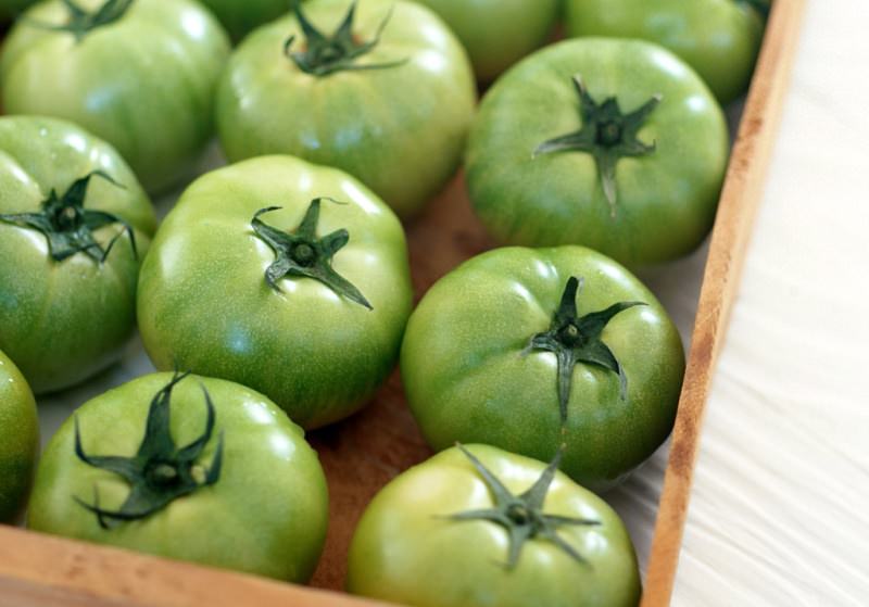Правила организации хранения зеленых помидоров