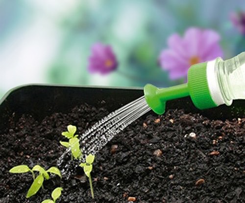 Фундазол: инструкция по применению для обработки комнатных и садовых растений