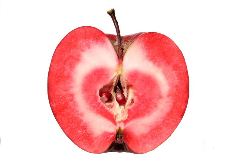 Гибрид яблоко-помидор: описание и достоинства