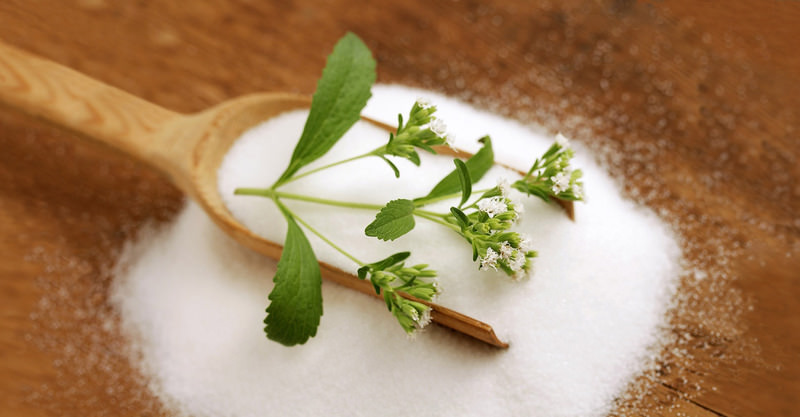 Стевия медовая: лечебные свойства и способы применения сладкой травы