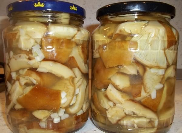 Как солить грузди: 4 проверенных рецепта и секреты подготовки грибов