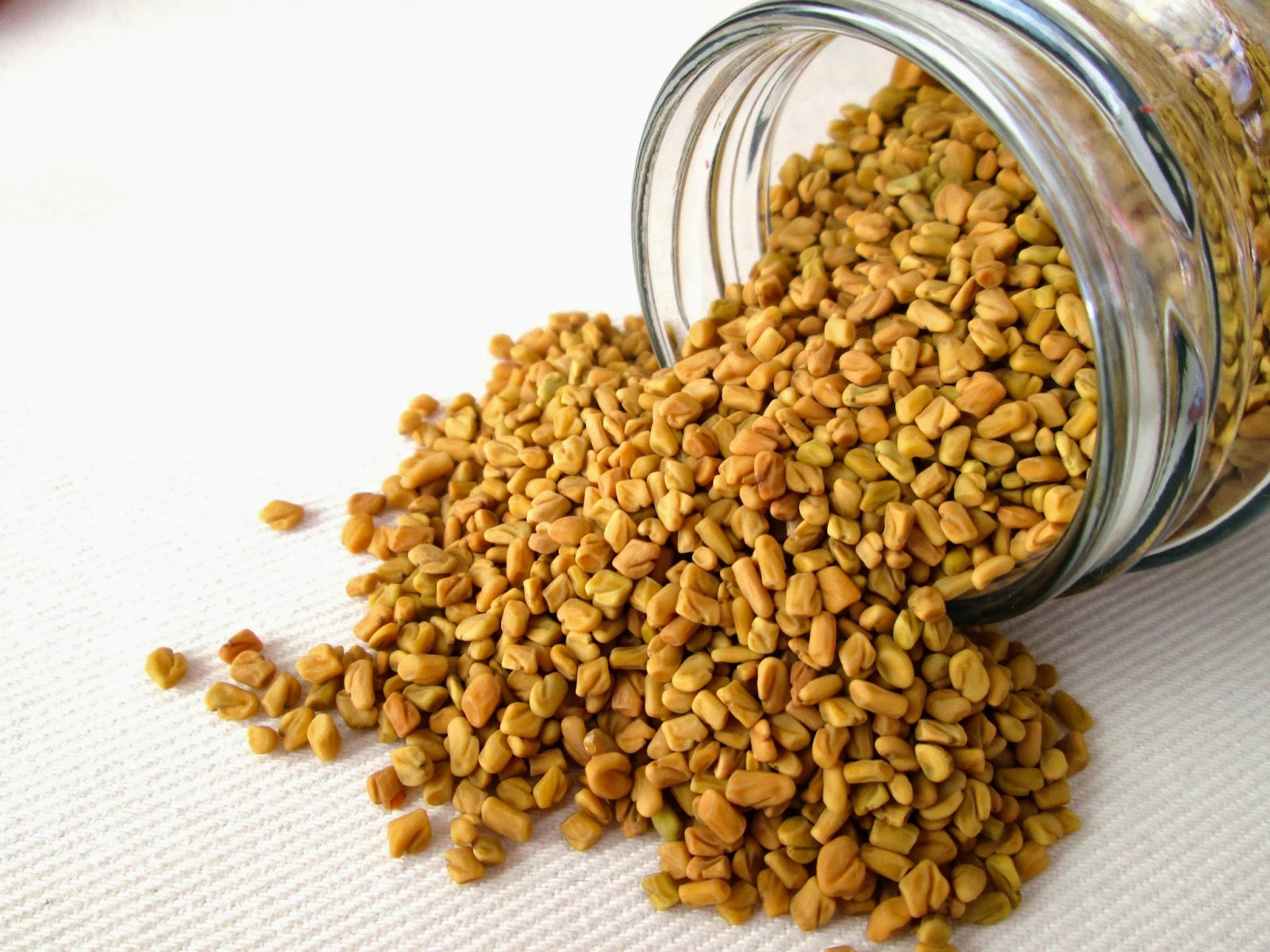 Пажитник сенной (шамбала): лечебные и полезные свойства пряного растения