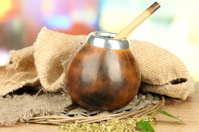 Падуб парагвайский (чай мате): полезные свойства, особенности приготовления и употребления