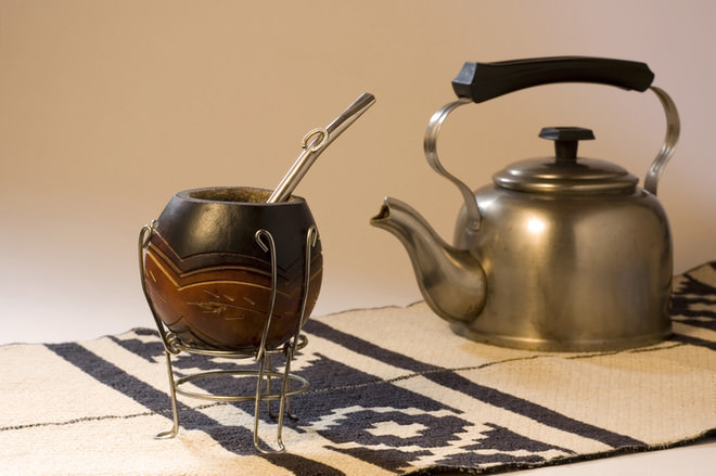 Падуб парагвайский (чай мате): полезные свойства, особенности приготовления и употребления
