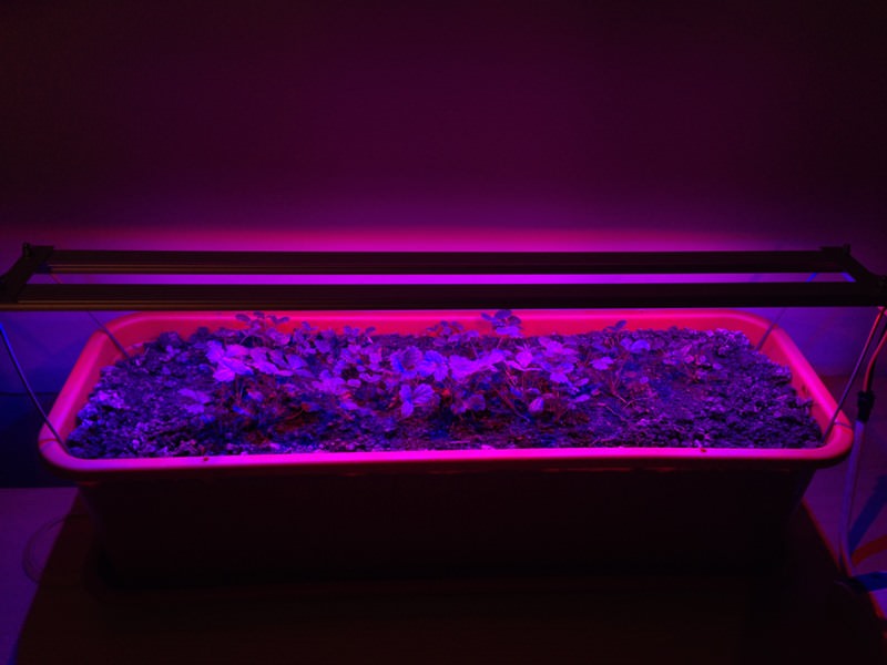 Изготовление светодиодного освещения для растений своими руками