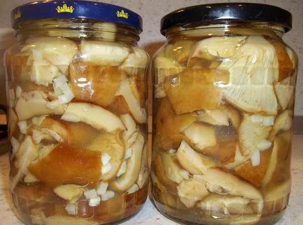 Как солить грибы: ТОП-6 рецептов