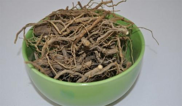 Полынь обыкновенная: лечебные свойства и особенности применения травы