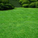 Искусственный газон: характеристика и область применения материала