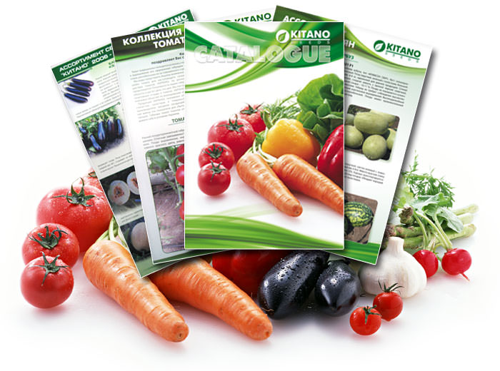 Выбор овощных семян: критерии, сроки хранения сырья